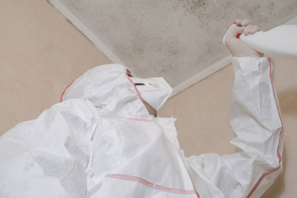 Best Commercial Mold Removal  in Lake Panasoffkee, FL